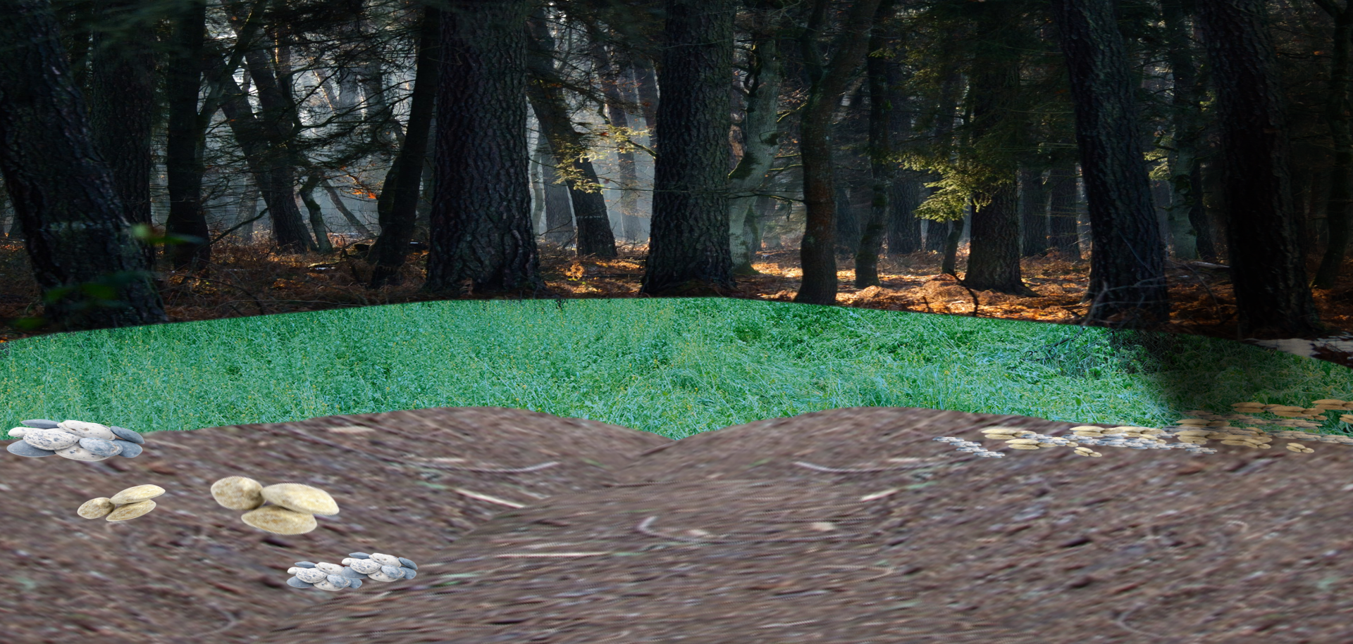 Campsite Draft Background